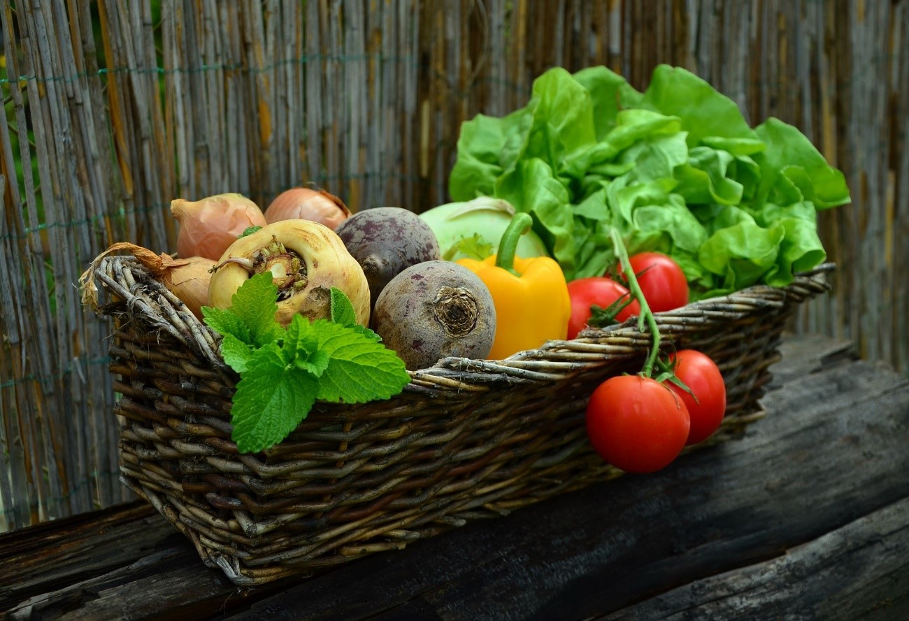 Alimentos saludables: ¿Cómo comer sano?