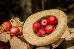 Beneficios de comer una manzana diaria